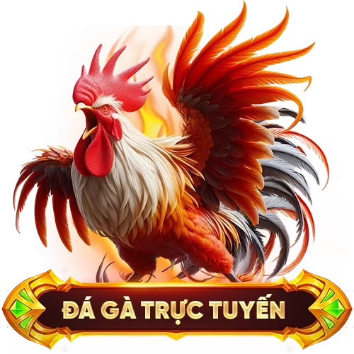 đá gà trực tuyến WIN79
